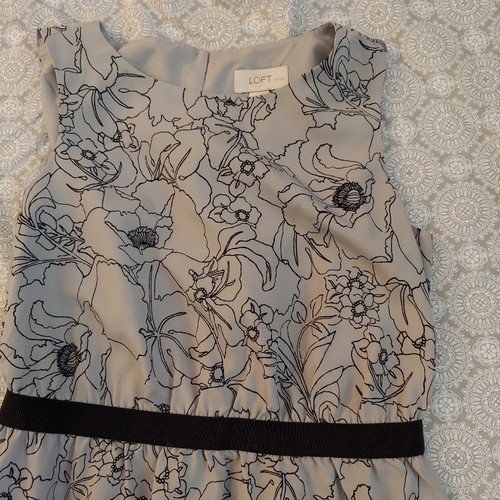 LOFT dress - Picture 3 of 5